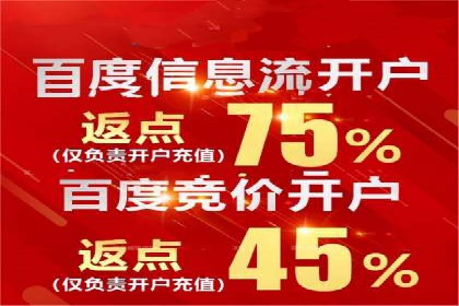 百度广告推广策略及成功案例解析